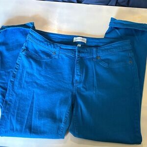 LILA RYAN Bright Blue Stretch Leg Jeans